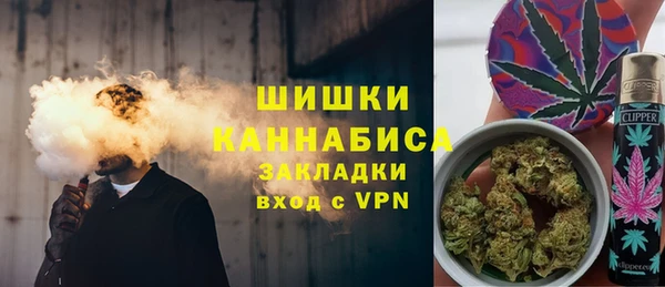 прущие грибы Володарск