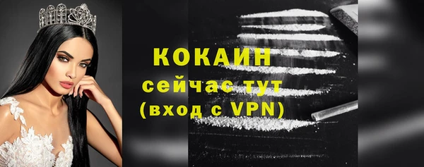apvp Вяземский