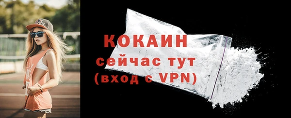 apvp Вяземский