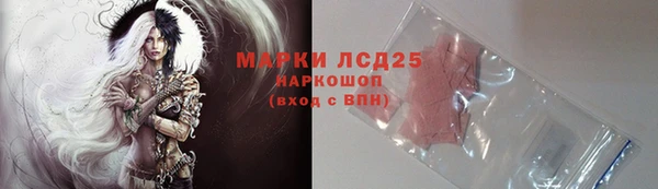 apvp Вяземский