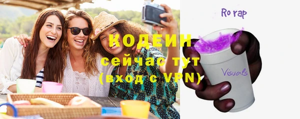 apvp Вяземский