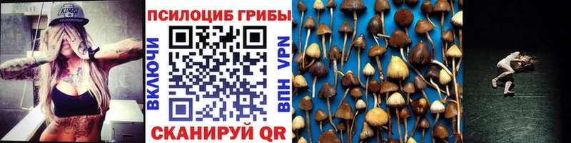где купить   Заозёрный  Псилоцибиновые грибы Magic Shrooms 