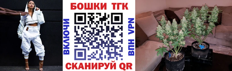 Бошки Шишки гибрид  маркетплейс официальный сайт  Заозёрный  ссылка на мегу tor 